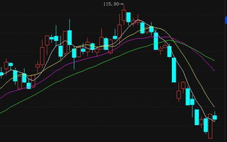焦點科技(002315)最新走勢分析與網絡技術開發策略