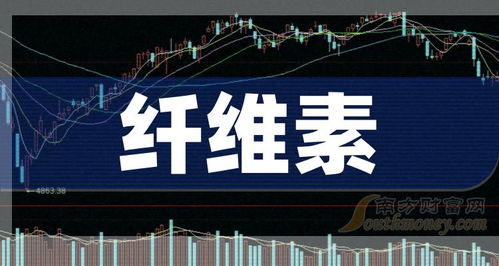2024年8月2日 聚焦纖維素網(wǎng)絡(luò)技術(shù)開發(fā)的概念公司名單